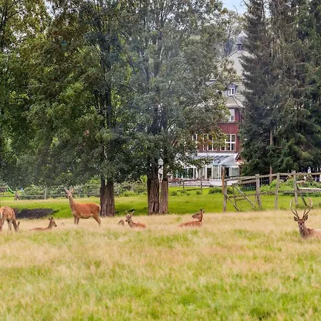 Holiday home Blockhaus Im Harz Fuer Familien Benneckenstein